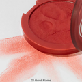 Cloud 9 Soft Powder Blush — media-005